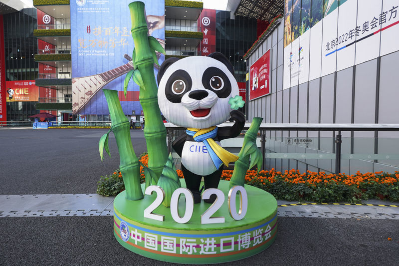 进博会上彩灯映 华照中外诚邀请——自贡市委书记范波答记者问